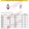 EF888412N SVASATO ADATT. M.3/4 -16 JIC+M.3/4 GAS SVASATO 60°